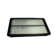 فیلتر هوا تیگو 5