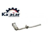 کاتالیزور رانا معمولی